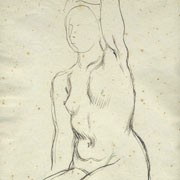 Disegni